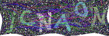 图形验证