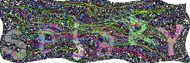 图形验证