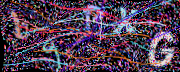 图形验证