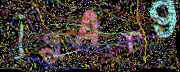 图形验证