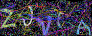 图形验证